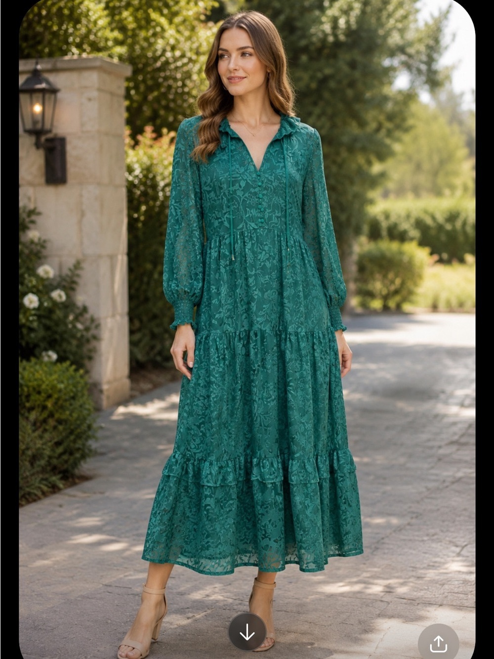 Anthropologie The Marais Satin Burn out edition Maxi dress